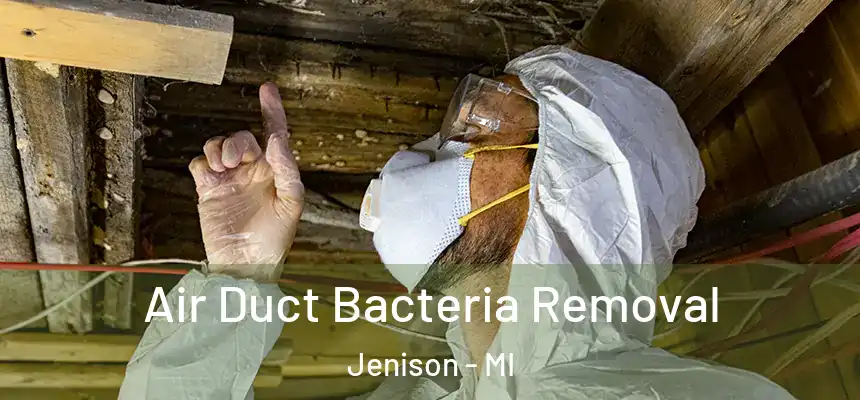  Air Duct Bacteria Removal Jenison - MI