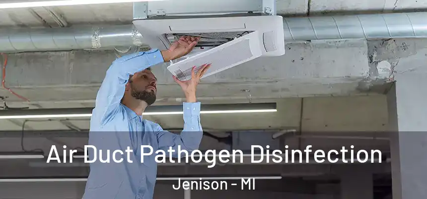  Air Duct Pathogen Disinfection Jenison - MI