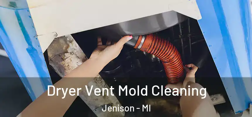  Dryer Vent Mold Cleaning Jenison - MI