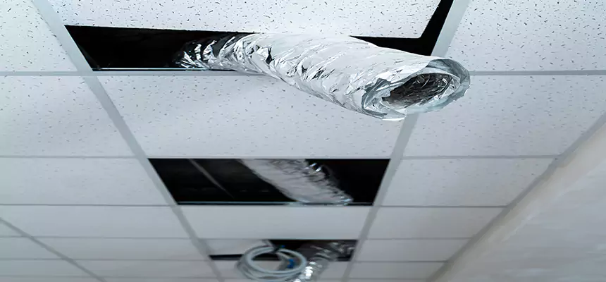 Our Air Duct Pet Hair Removal Services in Jenison, MI