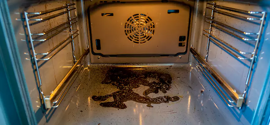 Our Dryer Vent Mold Cleaning Services in Jenison, MI