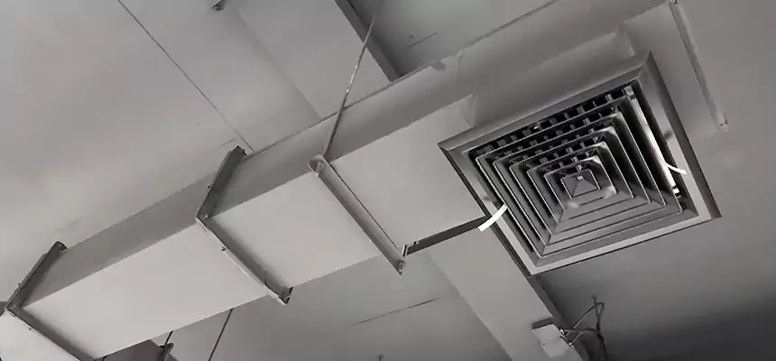 Our Rodent Droppings In Vents Services in Jenison, MI