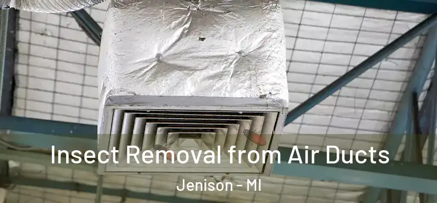  Insect Removal from Air Ducts Jenison - MI