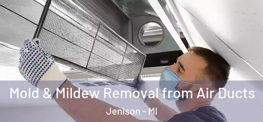  Mold & Mildew Removal from Air Ducts Jenison - MI