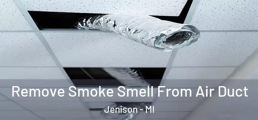  Remove Smoke Smell From Air Duct Jenison - MI
