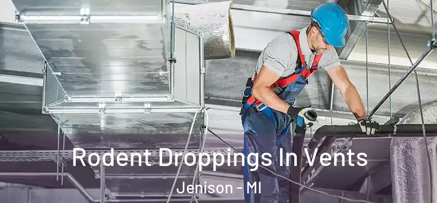  Rodent Droppings In Vents Jenison - MI