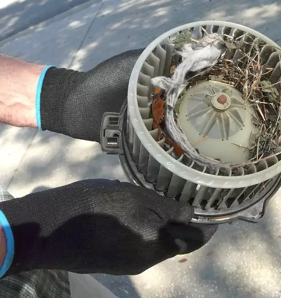 About Air Duct Mice Removal in Jenison, MI