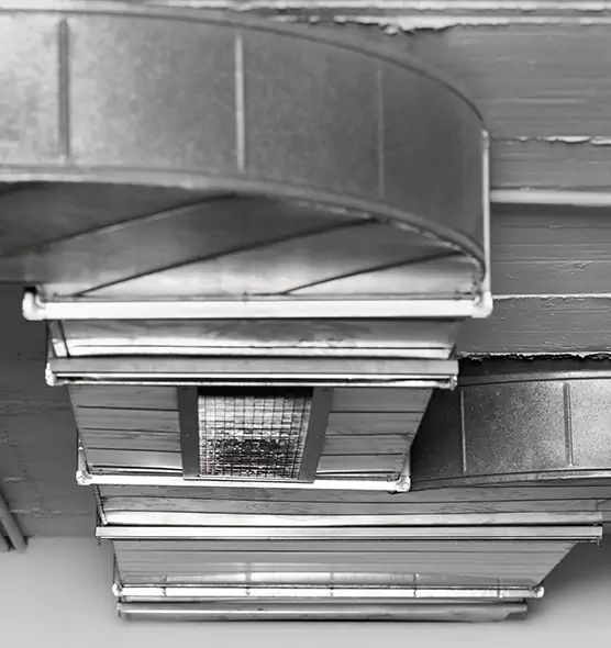 Professional Air Duct Pet Hair Removal in Jenison, MI