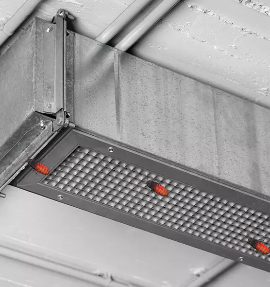 Affordable Insect Removal from Air Ducts in Jenison, MI