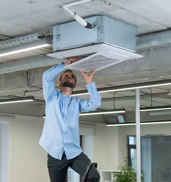 Advanced Rodent Droppings In Vents in Jenison, MI