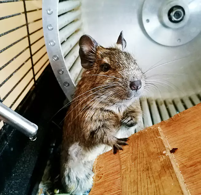 Why Homeowners & Businesses Trust Us Jenison, MI