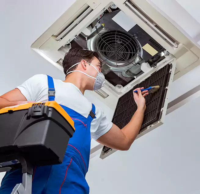 Why Homeowners & Businesses Trust Us in Jenison, MI?